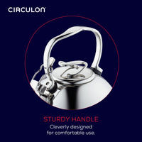2.3-Quart Whistling Teakettle with Flip-Up Spout | Silver
