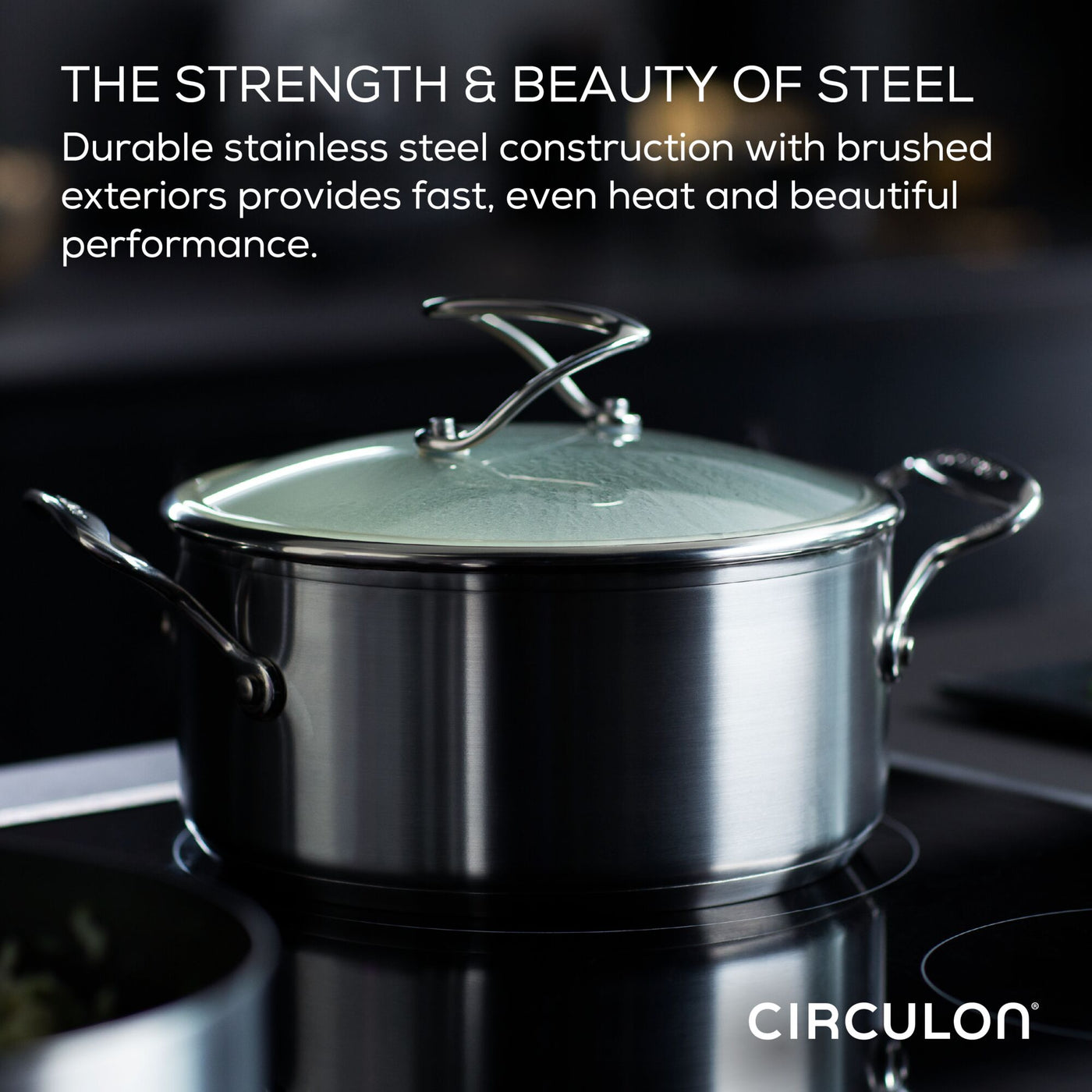 A stainless steel frying pan from the 8" & 10.25" Hybrid collection, compatible with induction cooking and featuring brushed exteriors, sits on a stove.